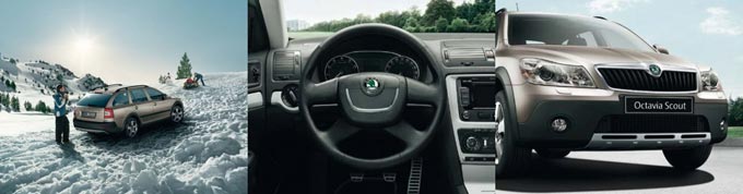 ลูกเสือ Skoda Octavia ลูกเสือ Skoda Octavia