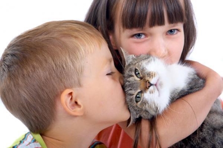 โรคภูมิแพ้ต่อแมวในเด็ก: อาการและการรักษาโรคภูมิแพ้ต่อเส้นผมของแมวในเด็ก