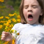 Pollinosis ในเด็ก: แพ้เกสรดอกไม้ Pollinosis ในเด็ก: แพ้เกสรดอกไม้