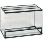 Terrarium ด้วยมือของตัวเอง Terrarium ด้วยมือของตัวเอง