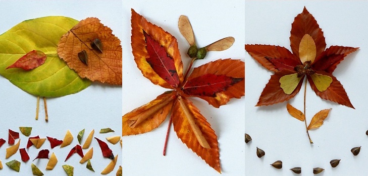 Applique จากใบฤดูใบไม้ร่วงสำหรับชั้นอนุบาลและ 1-2 ชั้นเรียนของโรงเรียนชั้นเรียนปริญญาโทที่มีรูปถ่ายและวิดีโอ