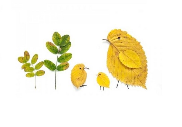 Applique จากใบฤดูใบไม้ร่วงสำหรับชั้นอนุบาลและ 1-2 ชั้นเรียนของโรงเรียนชั้นเรียนปริญญาโทที่มีรูปถ่ายและวิดีโอ