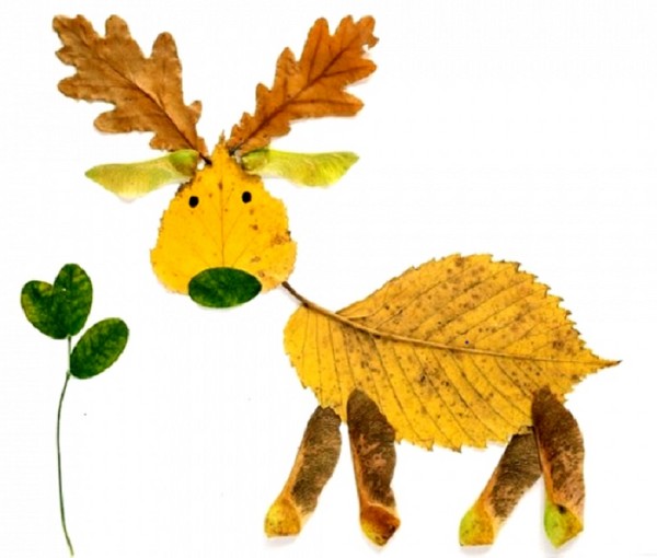 Applique จากใบฤดูใบไม้ร่วงสำหรับชั้นอนุบาลและ 1-2 ชั้นเรียนของโรงเรียนชั้นเรียนปริญญาโทที่มีรูปถ่ายและวิดีโอ