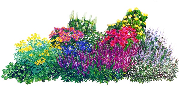 ดอกไม้ที่สวยงามสำหรับเตียงดอกไม้