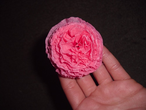 คาร์เนชั่นกระดาษสีด้วยมือของตัวเองในวันที่ 9 พฤษภาคม