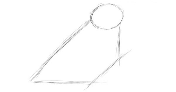 วิธีการวาดนกในขั้นตอนด้วยดินสอ