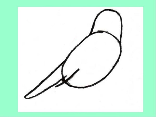 วิธีการวาดนกในขั้นตอนด้วยดินสอ