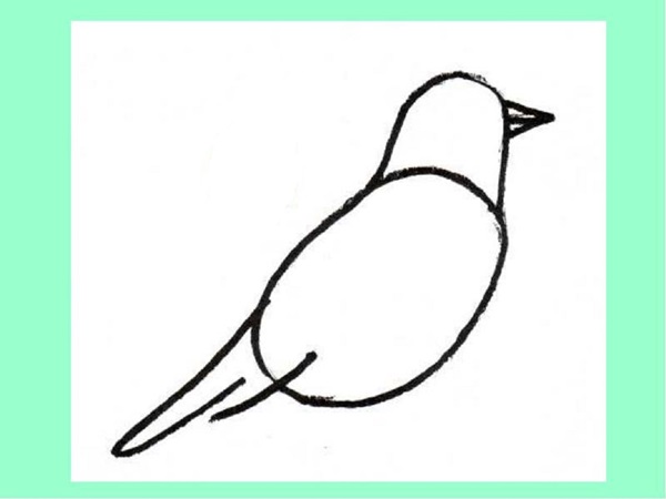 วิธีการวาดนกในขั้นตอนด้วยดินสอ