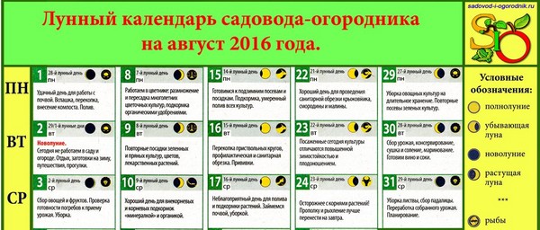 รถบรรทุกชาวปฏิทินจันทรคติสำหรับสิงหาคม 2016 สำหรับภูมิภาคมอสโกเขตกลางของรัสเซียอูราลไซบีเรียทางตะวันตกเฉียงเหนือเบลารุสและยูเครน รถบรรทุกชาวปฏิทินจันทรคติสำหรับสิงหาคม 2016 สำหรับภูมิภาคมอสโกเขตกลางของรัสเซียอูราลไซบีเรียทางตะวันตกเฉียงเหนือเบลารุสและยูเครน