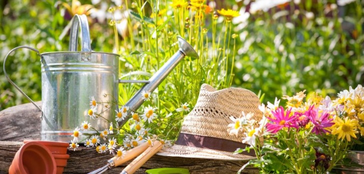 ปฏิทินจันทรคติของชาวสวนสวนในเดือนกันยายน 2015