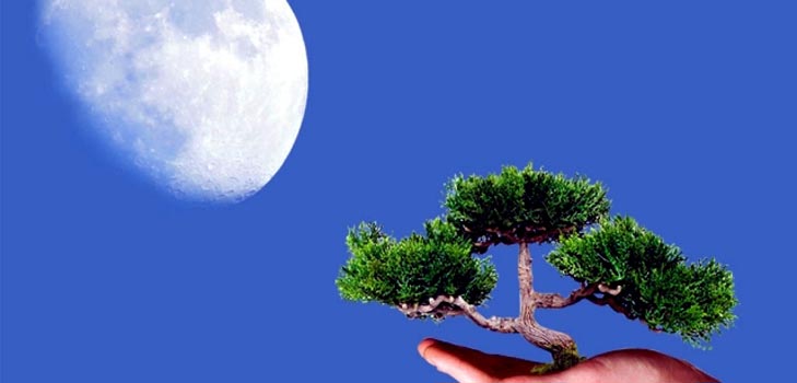 ปฏิทินจันทรคติของชาวสวนและชาวสวนรถบรรทุกปี 2015 ปฏิทินจันทรคติของชาวสวนและชาวสวนรถบรรทุกปี 2015