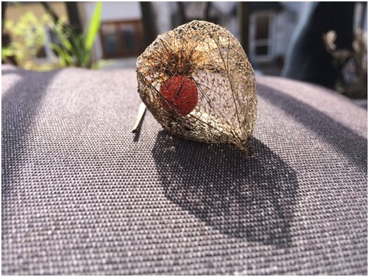 Physalis Dried