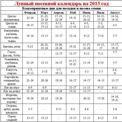 ปฏิทินการหว่านเมล็ด 2015: เราวางแผนที่จะทำงานตั้งแต่เดือนมกราคมถึงธันวาคม