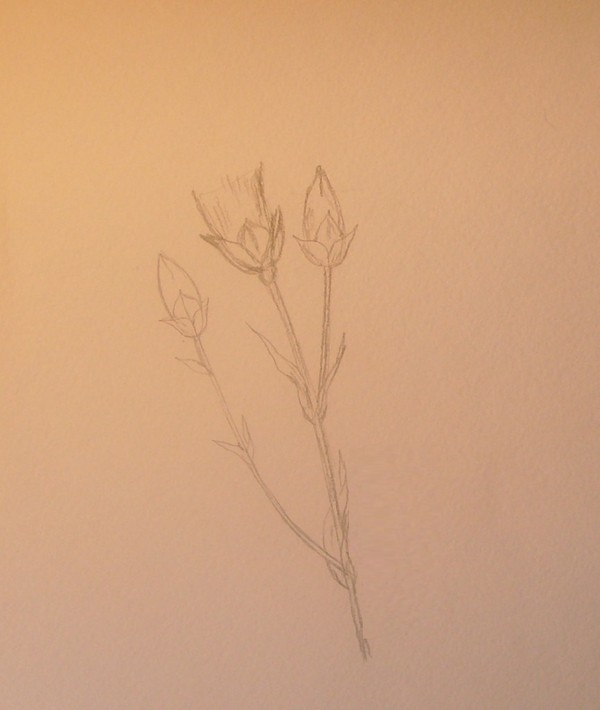 ในความทรงจำของคนรุ่นต่อไป: ภาพวาดวันที่ 9 พฤษภาคมในแต่ละขั้นตอน
