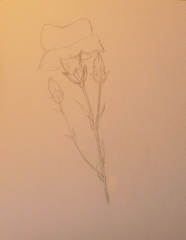 ในความทรงจำของคนรุ่นต่อไป: ภาพวาดวันที่ 9 พฤษภาคมในแต่ละขั้นตอน