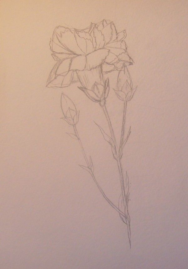 ในความทรงจำของคนรุ่นต่อไป: ภาพวาดวันที่ 9 พฤษภาคมในแต่ละขั้นตอน
