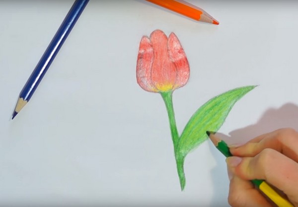 วาดวันแม่ด้วยมือของตัวเอง: ดินสอสีโรงเรียนอนุบาลโรงเรียน