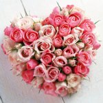 หัวใจกุหลาบ 14 กุมภาพันธ์