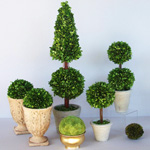 ดูแลด้าน topiary