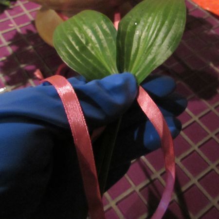 พวงหรีดดอกไม้สำหรับงานแต่งงานด้วยมือของตัวเอง