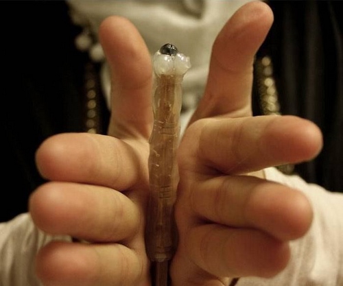 ไม้กายสิทธิ์ของแฮร์รี่พอตเตอร์มือของตัวเอง
