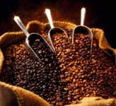 กาแฟสำหรับตัดเซลลูไลท์ กาแฟสำหรับตัดเซลลูไลท์