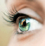 คอนแทคเลนส์สี คอนแทคเลนส์สี