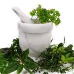 เครื่องสำอางค์หน้าแรก: infusions, decoctions, tinctures เครื่องสำอางค์หน้าแรก: infusions, decoctions, tinctures