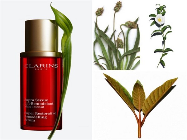 วงจรที่เหมาะ: เซรั่มสูตร Clarins Multi-Intensif