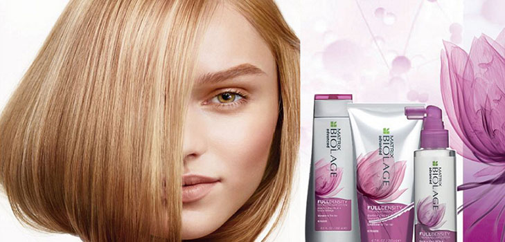 ความรู้สำหรับผมที่ไม่มีชีวิตชีวา: รายการใหม่ Matrix Full Density