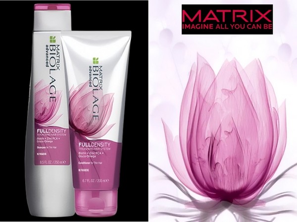 ความรู้สำหรับผมที่ไม่มีชีวิตชีวา: รายการใหม่ Matrix Full Density