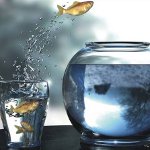 Comfort Zone: วิธีการขยาย?