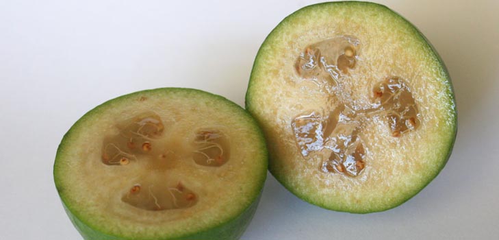 Feijoa - คุณสมบัติที่เป็นประโยชน์ประโยชน์และเป็นอันตรายต่อ feijoa