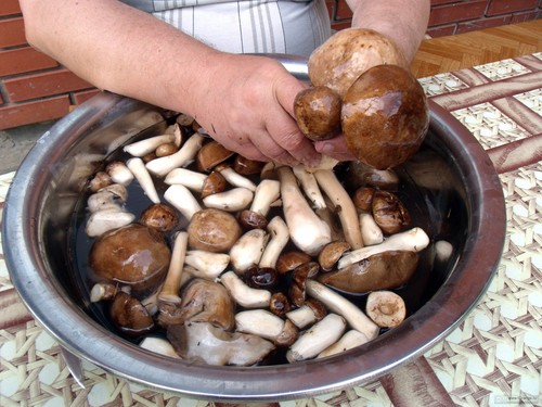 วิธีการทำความสะอาดเห็ด: เคล็ดลับการปฏิบัติ