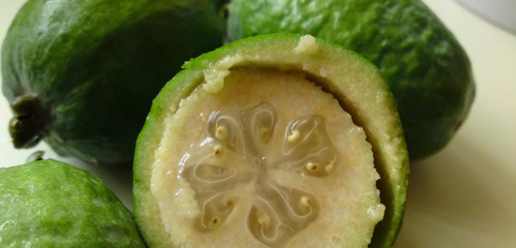 วิธีการกิน feijoa: วิธีการกิน feijoa อย่างถูกต้อง
