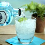 วิธีการดื่ม gin วิธีการดื่ม gin