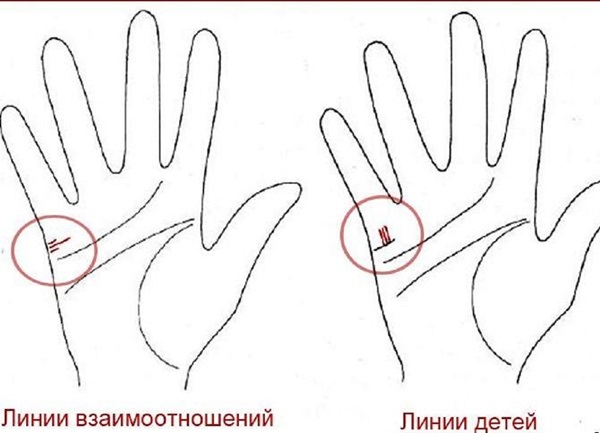 สายการสมรสในมือ