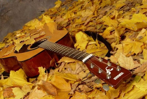 เพลงและบทกวีสำหรับ Autumn Ball สำหรับเด็กนักเรียน - ดีที่สุดทันสมัยสวยงามและสั้น