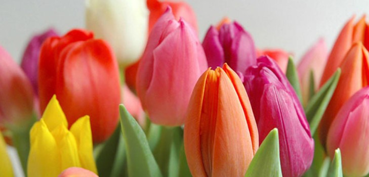 ขอแสดงความยินดีอย่างสวยงามและเป็นต้นฉบับในวันที่ 8 มีนาคมในบทกวีและร้อยแก้ว