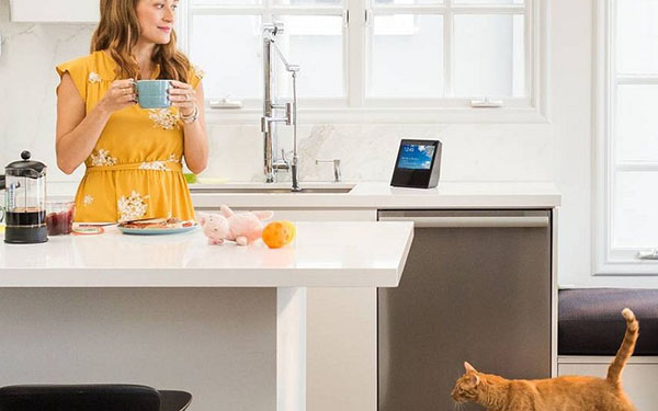 อะคูสติกในบ้านที่สมาร์ท: ระบบ Amazon Echo Show
