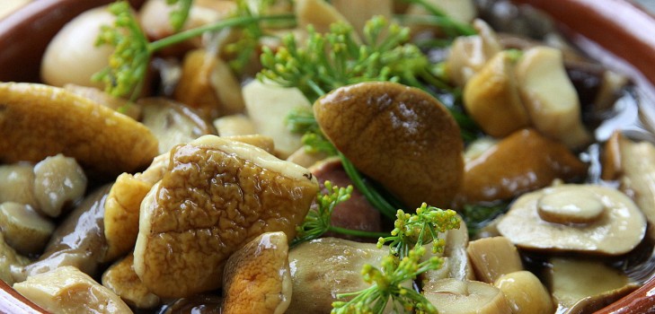 เห็ดขาว: สูตรสำหรับทำอาหารอร่อย ๆ