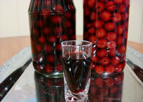 tincture ของเชอร์รี่ที่บ้าน