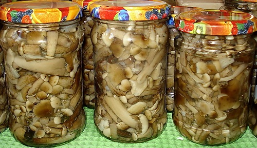 การทำ Marinating มีหิมะตกในฤดูหนาวในธนาคาร การทำ Marinating มีหิมะตกในฤดูหนาวในธนาคาร
