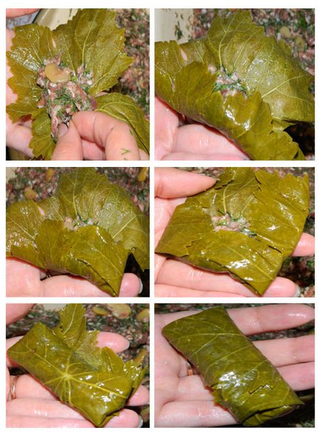 วิธีปรุง dolma ที่บ้าน วิธีปรุง dolma ที่บ้าน