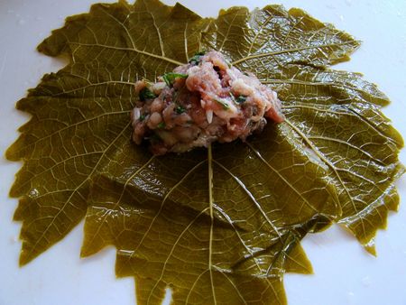 วิธีปรุง dolma ที่บ้าน วิธีปรุง dolma ที่บ้าน