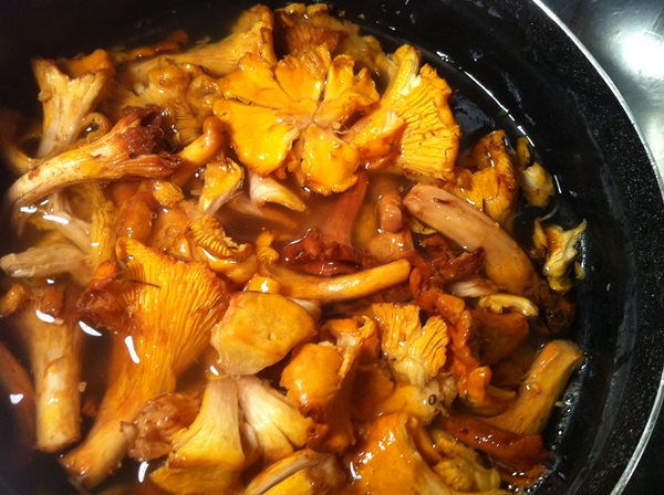 วิธีการปรุงอาหาร chanterelles ในกระทะ