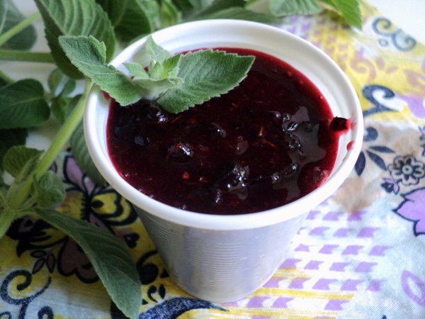 วิธีการแช่แข็งลูกเกดดำในรูปแบบของ sorbet