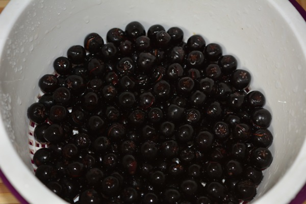 ผลไม้แช่อิ่มจาก chokeberry ashberry