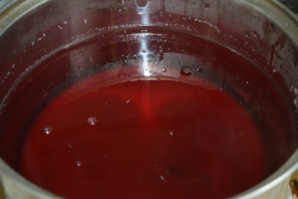 ผลไม้แช่อิ่มจาก chokeberry ashberry