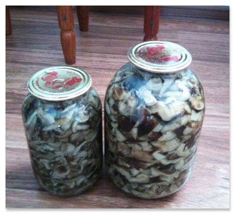 ฝีพายหมัก